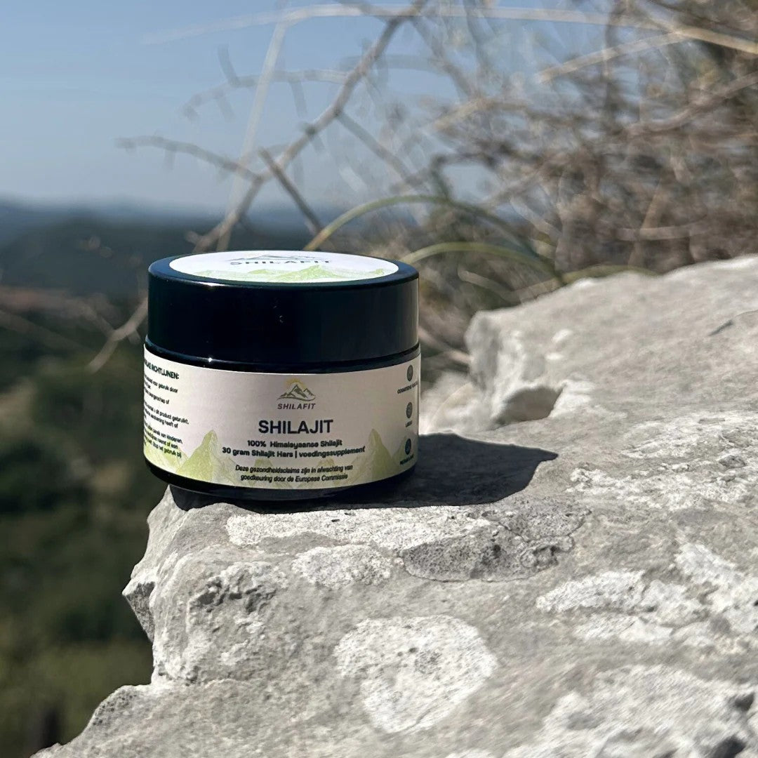 SHILAFIT - Shilajit smola u prirodnom okruzenju